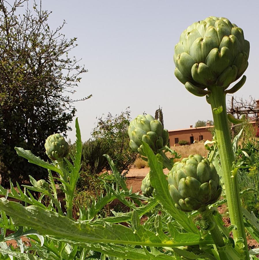 Dar Tasmayoun Aït Ourir エクステリア 写真
